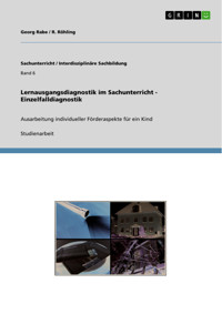 Lernausgangsdiagnostik im Sachunterricht - Einzelfalldiagnostik - Georg Rabe - E-Book
