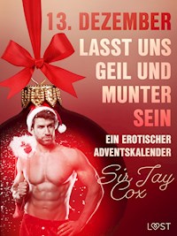 13. Dezember: Lasst uns geil und munter sein – ein erotischer Adventskalender - Sir Jay Cox - E-Book