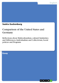 Comparison of the United States and Germany - Saskia Guckenburg - E-Book