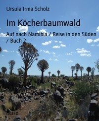 Im Köcherbaumwald - Ursula Irma Scholz - E-Book