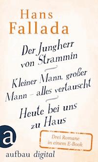 Der Jungherr von Strammin / Kleiner Mann, großer Mann – alles vertauscht / Heute bei uns zu Haus - Hans Fallada - E-Book