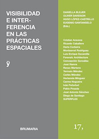 Visibilidad e interferencia en las prácticas espaciales - José Antonio Sánchez - E-Book
