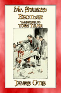 MR STUBB'S BROTHER - A Young Adult Circus Story - James Otis - E-Book