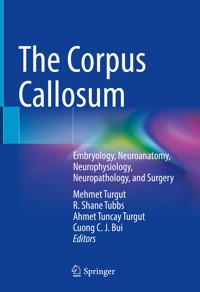 The Corpus Callosum -  - E-Book