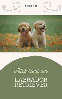 Alles rund um Labrador Retriever - Tobias Hopfmüller - E-Book