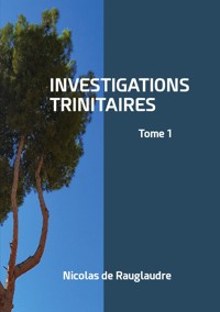 Investigations trinitaires - Nicolas de Rauglaudre - E-Book