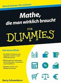 Mathe, die man wirklich braucht für Dummies - Barry Schoenborn - E-Book
