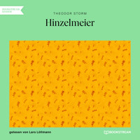 Hinzelmeier - Eine nachdenkliche Geschichte (Ungekürzt) - Theodor Storm - Hörbuch