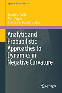 Analytic and Probabilistic Approaches to Dynamics in Negative Curvature -  - E-Book