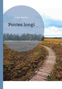 Pontes longi - Jürgen Wächter - E-Book