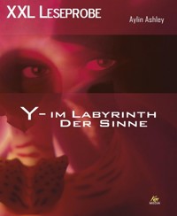 XXL Leseprobe: Y – Im Labyrinth der Sinne - Aylin Ashley - E-Book