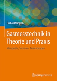 Gasmesstechnik in Theorie und Praxis - Gerhard Wiegleb - E-Book