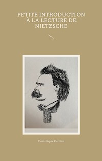 Petite introduction à la lecture de Nietzsche - Dominique Catteau - E-Book