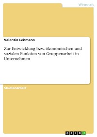 Zur Entwicklung bzw. ökonomischen und sozialen Funktion von Gruppenarbeit in Unternehmen - Valentin Lehmann - E-Book