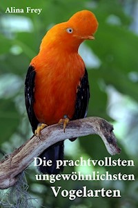 Die prachvollsten ungewöhnlichsten Vogelarten - Alina Frey - E-Book