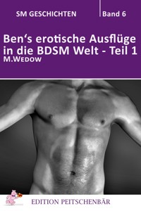 Ben's erotische Auflüge in die BDSM Welt - Teil 1 - M. Wedow - E-Book