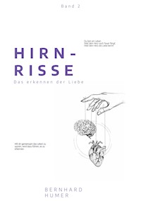 Hirnrisse - Bernhard Humer - E-Book