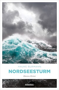 Nordseesturm - Hauke Burmann - E-Book