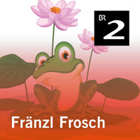 Fränzl Frosch - Hans-Georg Schmitten - Hörbuch