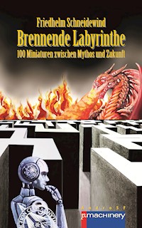 BRENNENDE LABYRINTHE - Friedhelm Schneidewind - E-Book