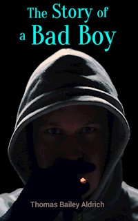 The Story of a Bad Boy - Thomas Bailey Aldrich - E-Book