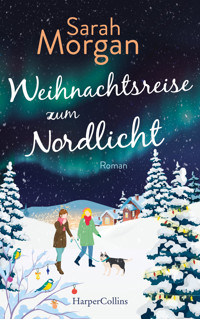Weihnachtsreise zum Nordlicht - Sarah Morgan - E-Book