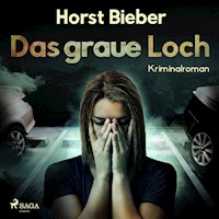 Das graue Loch (Ungekürzt) - Horst Bieber - Hörbuch
