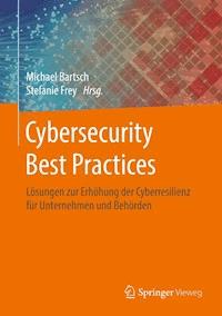Cybersecurity Best Practices -  - E-Book