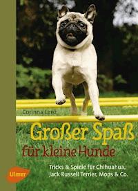 Großer Spaß für kleine Hunde - Corinna Lenz - E-Book