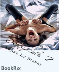 Sexspiele 2 - Andre Le Bierre - E-Book