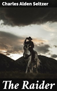 The Raider - Charles Alden Seltzer - E-Book