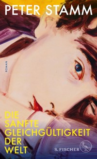 Die sanfte Gleichgültigkeit der Welt - Peter Stamm - E-Book