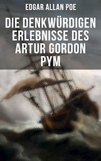 Die denkwürdigen Erlebnisse des Artur Gordon Pym - Edgar Allan Poe - E-Book