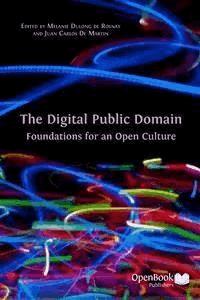 The Digital Public Domain - Juan Carlos De Martin (Editor) - E-Book