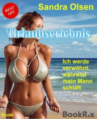 Urlaubserlebnis - Sandra Olsen - E-Book