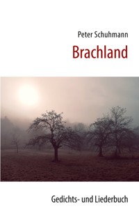 Brachland - Peter Schuhmann - E-Book