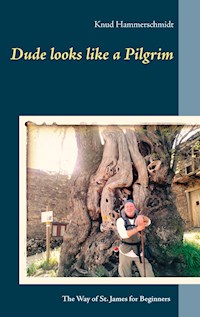 Dude looks like a Pilgrim - Knud Hammerschmidt - E-Book