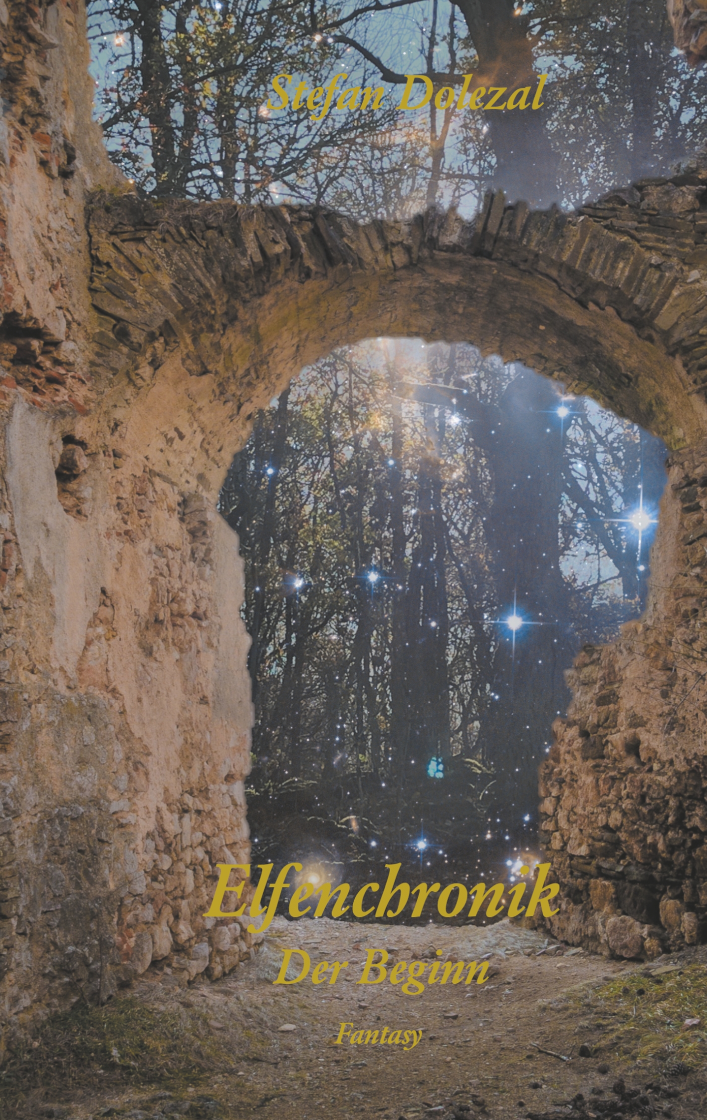 Chroniken einer Reise 1 - Stefan Dolezal - E-Book