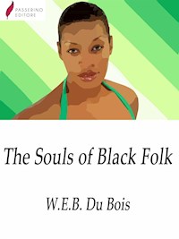 The Souls of Black Folk - W. E. B. Du Bois - E-Book
