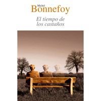 El tiempo de los castaños - Michelle Bonnefoy - Hörbuch