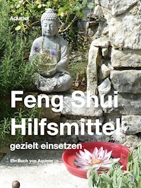 Feng Shui Hilfsmittel gezielt einsetzen - Aquene Kasemann - E-Book
