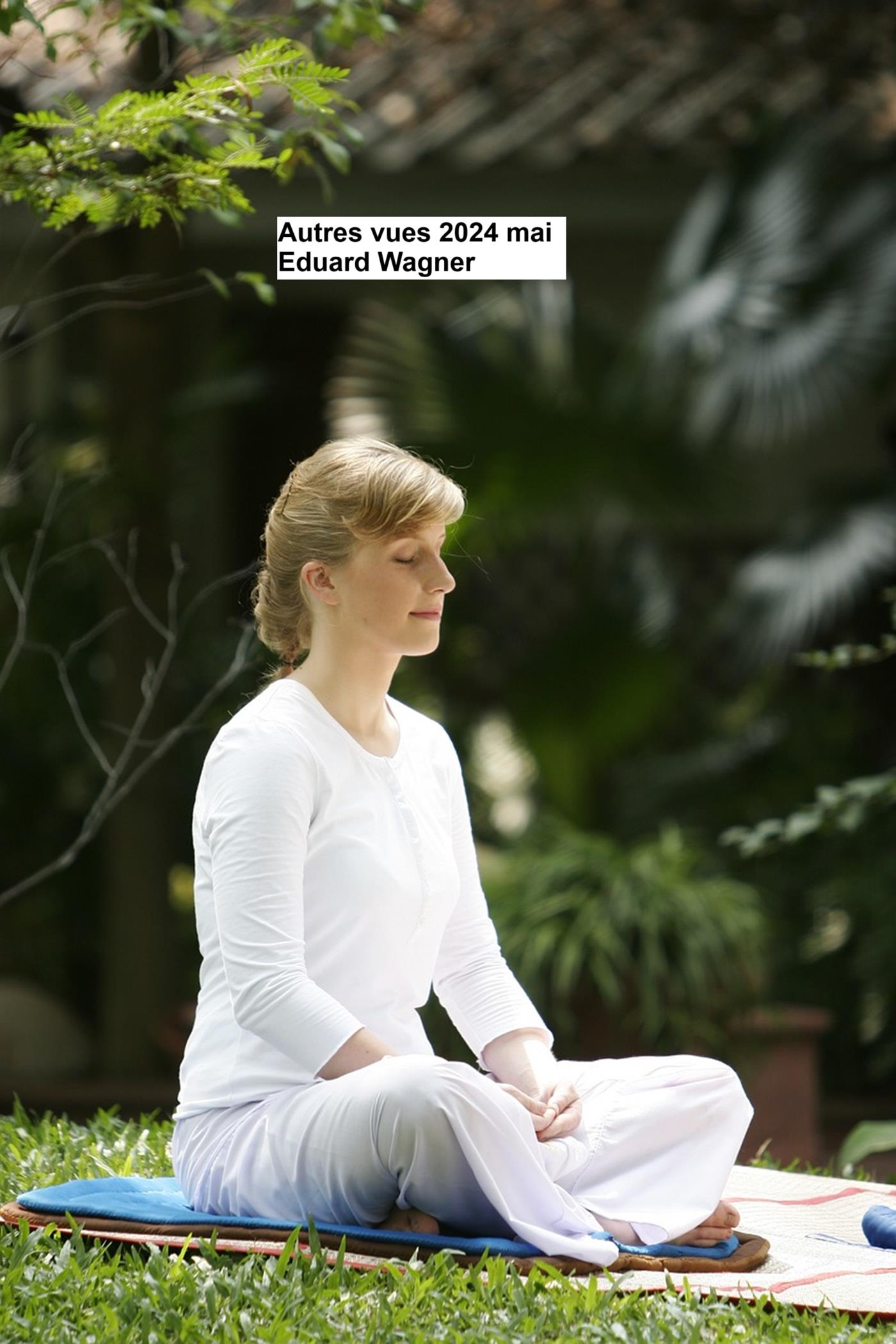 Autres vues 2024 mai - Eduard Wagner - E-Book