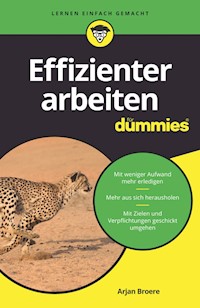 Effizienter arbeiten für Dummies - Arjan Broere - E-Book