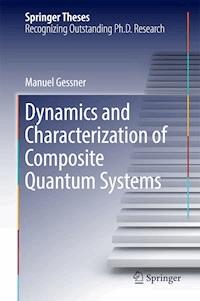 Dynamics and Characterization of Composite Quantum Systems - Manuel Gessner - E-Book