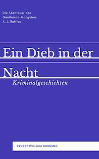 Ein Dieb in der Nacht - Ernest William Hornung - E-Book