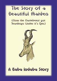 The Story of a Beautiful Maiden - Unknown - E-Book