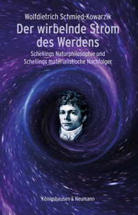 Der wirbelnde Strom des Werdens - Wolfdietrich Schmied-Kowarzik - E-Book