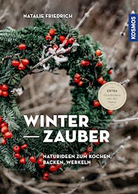 Winterzauber - Natalie Friedrich - E-Book