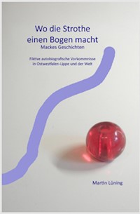 Wo die Strothe einen Bogen macht - Martin Lüning - E-Book