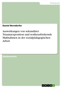 Auswirkungen von sekundärer Traumaexposition und resilienzfördernde Maßnahmen in der sozialpädagogischen Arbeit - Daniel Berndorfer - E-Book